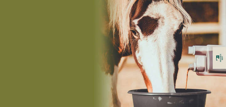 NABE spaefte Banner 2886x1290